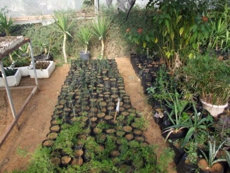 اعلان تسجيل الاشتال الزراعية لعام 2015