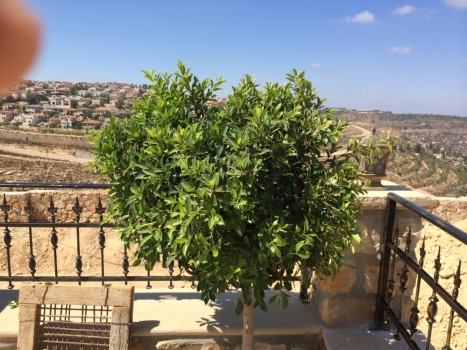 تشطيب مبنى خدمات مقبرة قطنة الإسلامية الجديدة في أرض الوقف